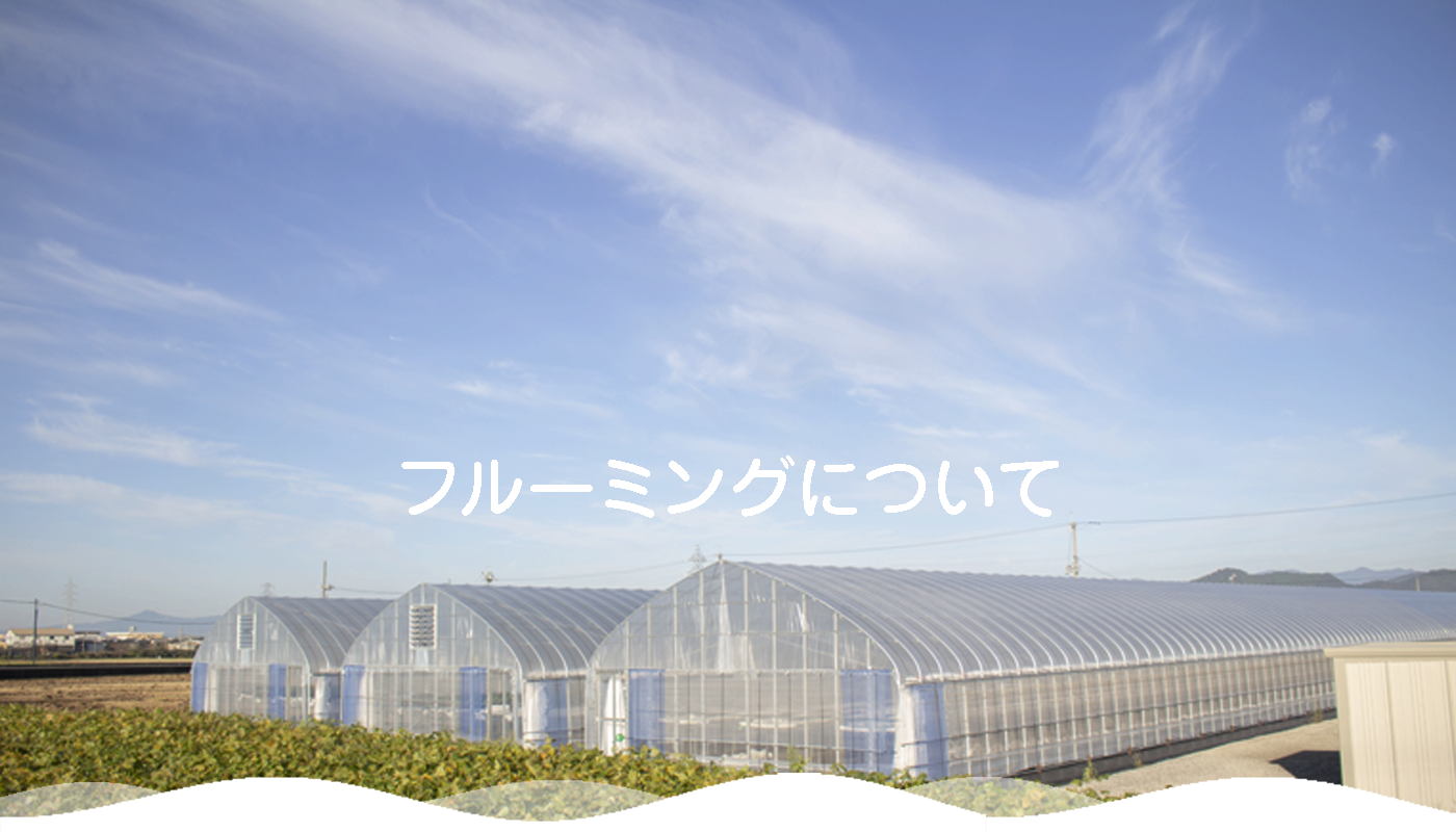 フルーミングについて