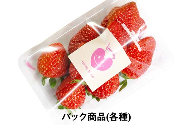 パック商品(パック商品)