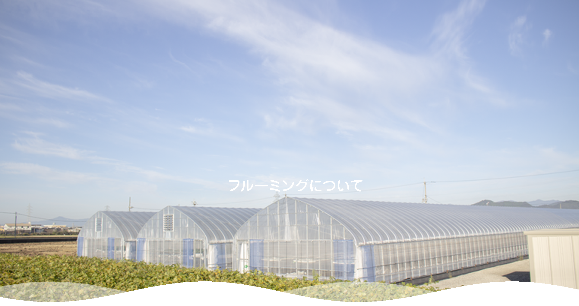 フルーミングについて